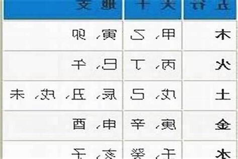 1996 五行